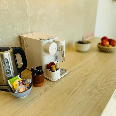 Duplex Avec Terrasse Dans Le Ciel Bordelais *