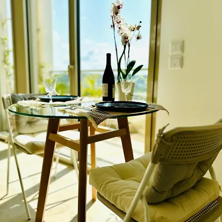 Duplex Avec Terrasse Dans Le Ciel Bordelais Διαμέρισμα